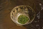 spiral earth - clay works