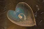 spiral earth - clay bowl
