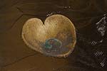 spiral earth - clay bowl