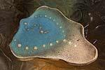 spiral earth - hand made plate