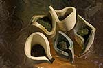 spiral earth - moss pots