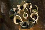 spiral earth - moss pots