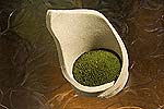 spiral earth - moss pots