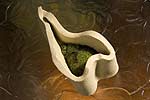 spiral earth - moss pots