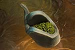 spiral earth - moss pots