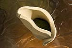 spiral earth - moss pots