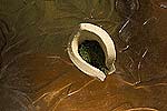 spiral earth - moss pots
