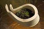 spiral earth - moss pots
