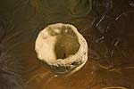 spiral earth - moss pots