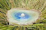 spiral earth