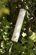 spiral earth - wind chimes