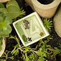spiral earth - cafe table numbers - Whitworth