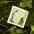 spiral earth - cafe table numbers - Whitworth