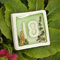 spiral earth - cafe table numbers - Whitworth