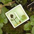 spiral earth - cafe table numbers - Whitworth
