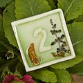 spiral earth - cafe table numbers - Whitworth