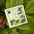 spiral earth - cafe table numbers - Whitworth