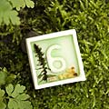 spiral earth - cafe table numbers - Whitworth